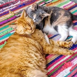 Meet your Posher, Angela